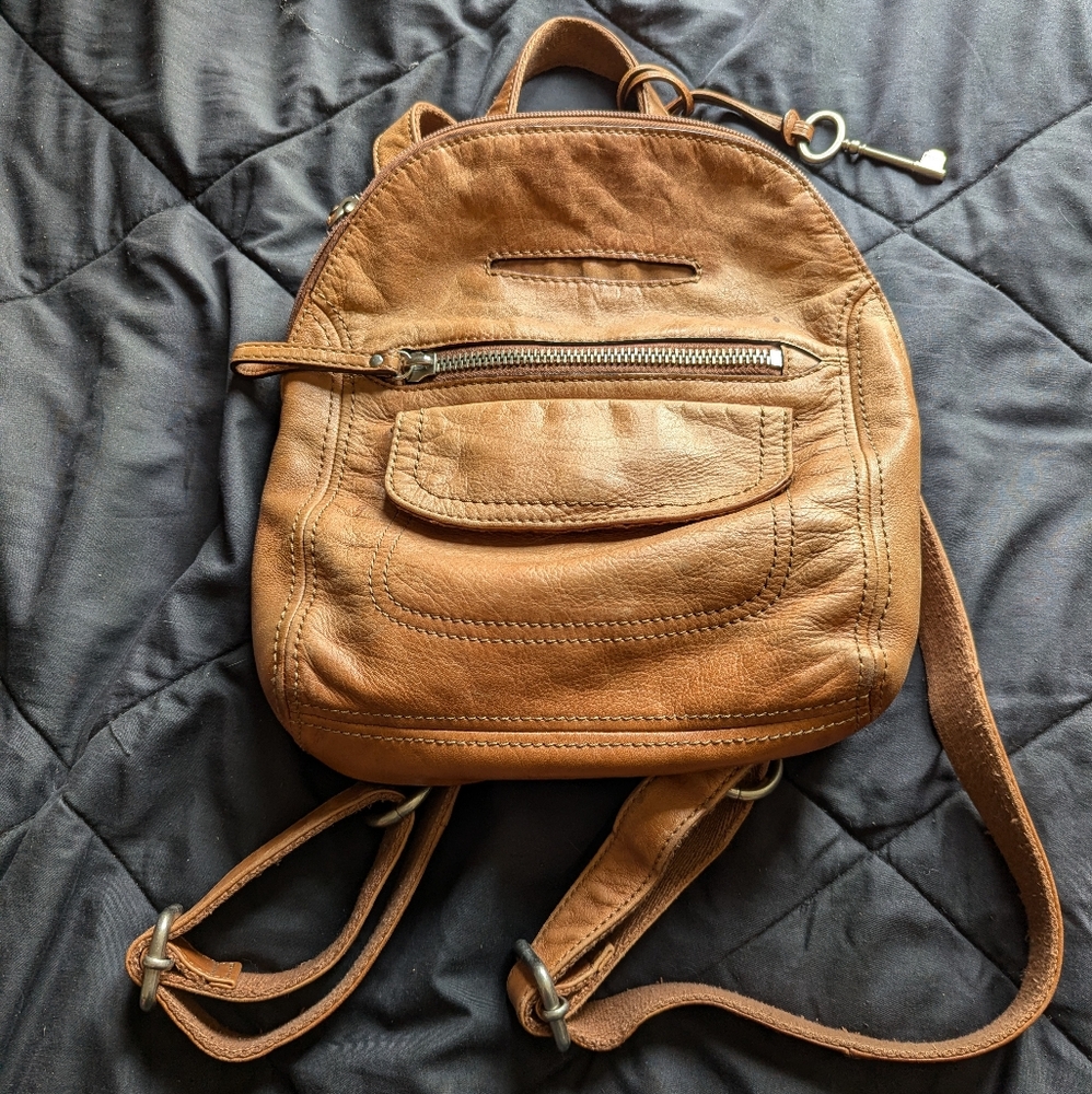 Fossil back pack